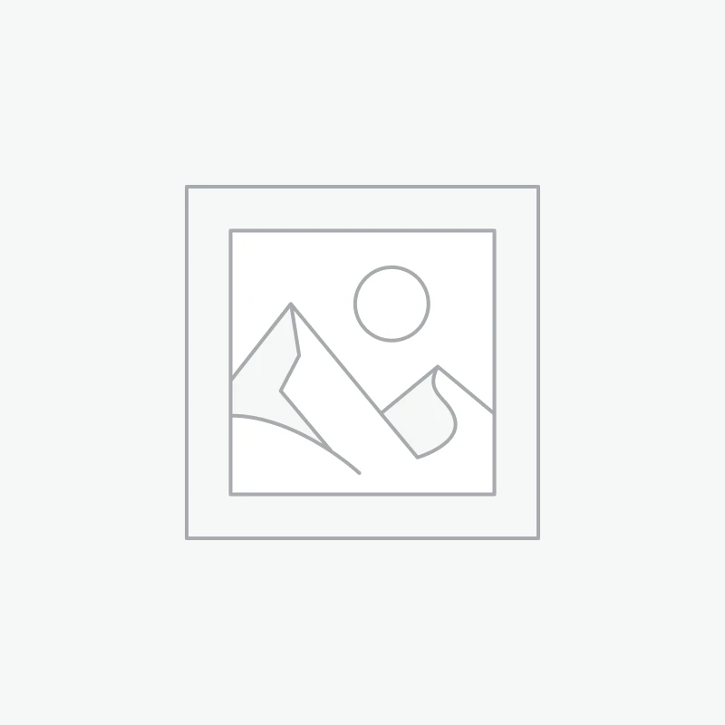 SWAY SW 869 Pro Full Face